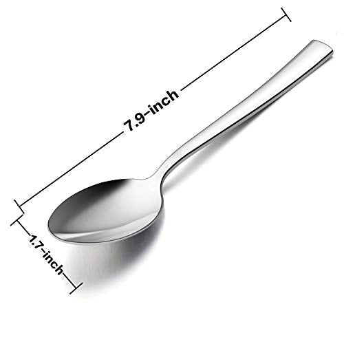 Dinner Spoons Set of 12 (12 Count)