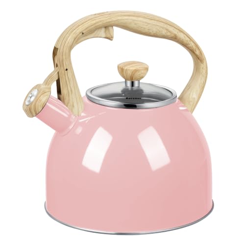Whistling Tea Kettle for Stove Top
