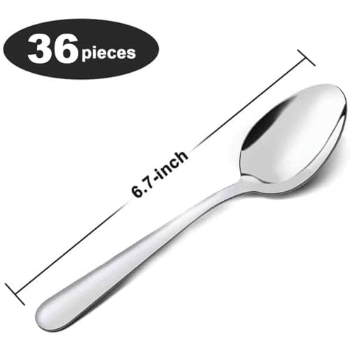 36 Pieces Tea Spoons Set Silverware (36 Count)