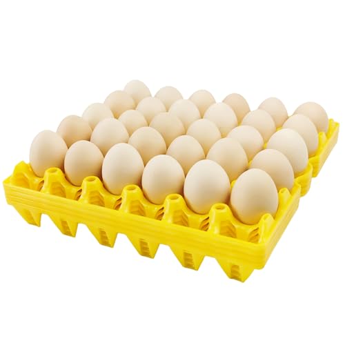 4 Pack Plastic Egg Tray Egg Crates 30 (4 Count)