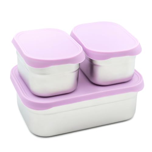 Stainless Steel Lunch Box Set (2 Count)