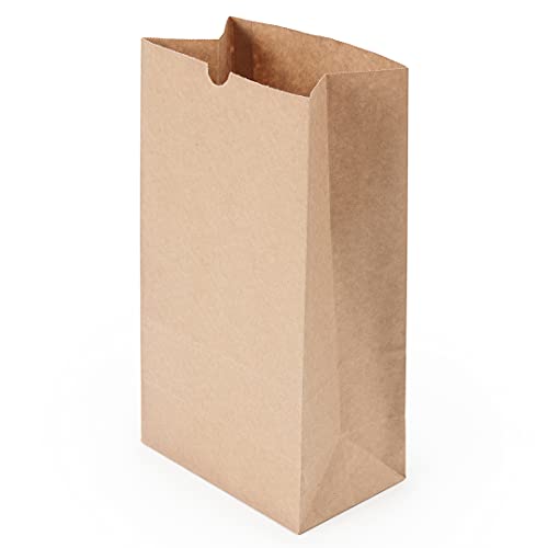 Bag Tek 12 LB Disposable Lunch Bags 100 Sturdy Take (100 Count)
