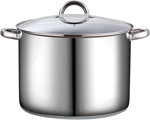 Basics 16 Quart Stainless Steel Stock Pot with Lid