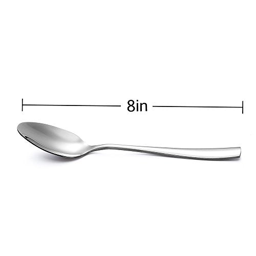 24 Piece Large Stainless Steel Dinner Spoons (24 Count)