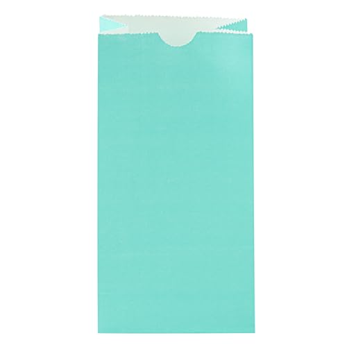 Turquoise Paper Bag (100 Count)