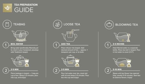 Connoisseur Glass Teapot with Stainless Steel Infuser for Loose Tea