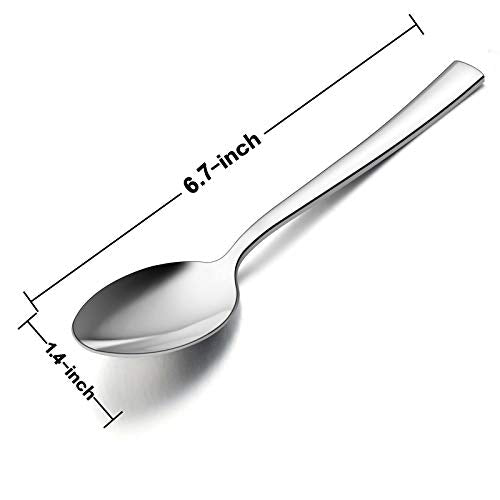 Teaspoon Set of 12