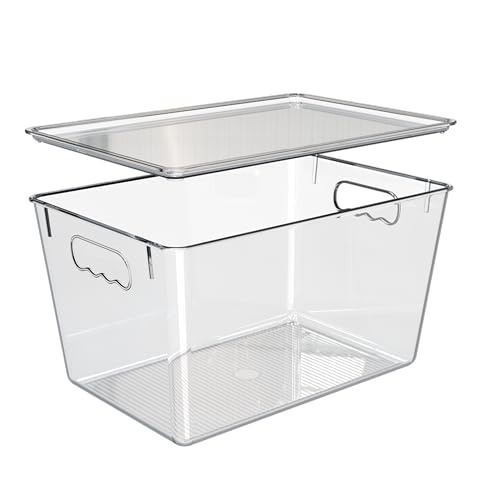 4 Pack Clear Storage Bins with Lids (4 Count)