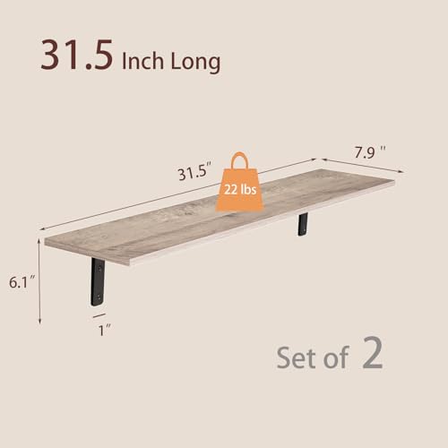 Long Wall Shelves (2 Count)