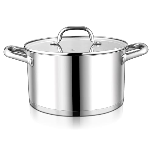 6 QT Stainless Steel Stock Pot