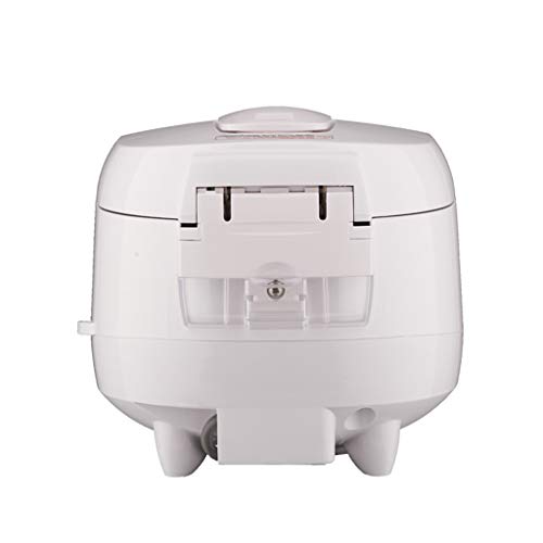 Micom Fuzzy Logic Rice Cooker