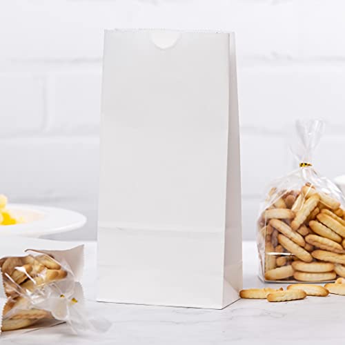 Bag Tek 2lb Paper Bags 100 Disposable Lunch Bags (100 Count)