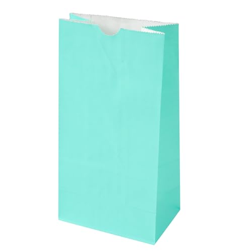 Turquoise Paper Bag (100 Count)