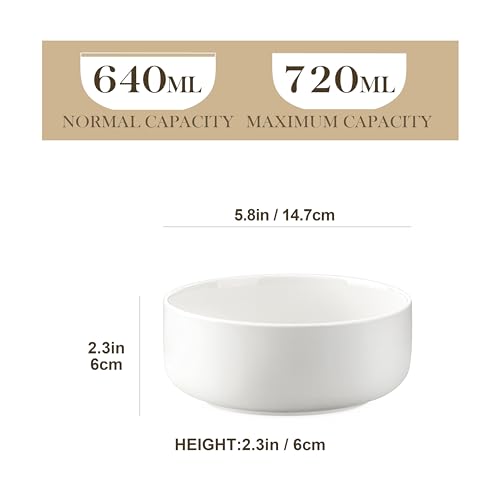 24 OZ Ceramic Bowls Set of 4 (4 Count)