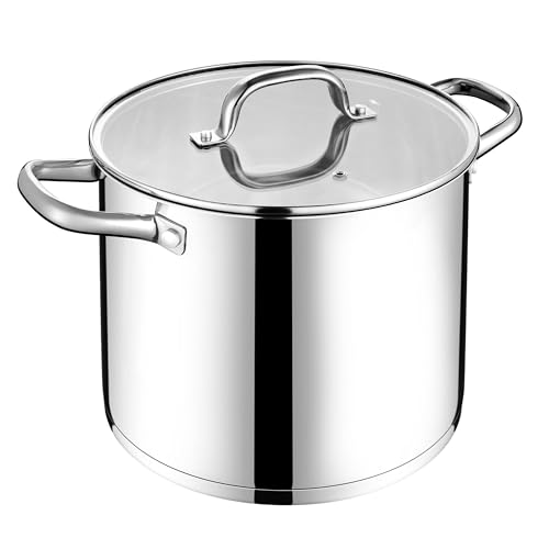 12 QT Stock Pot with Lid
