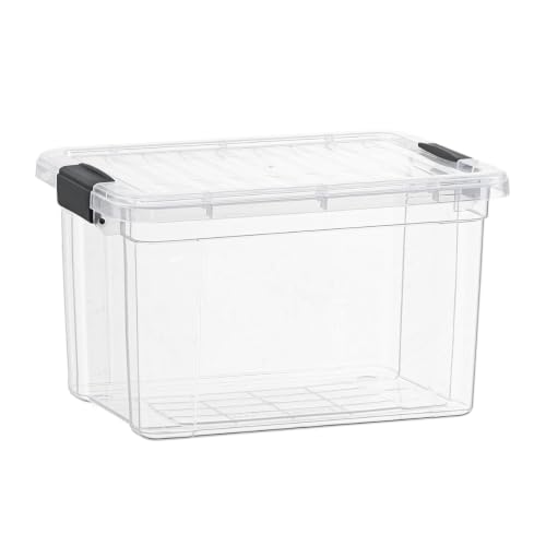 Small Clear Storage Boxes with Lids (4 Count)