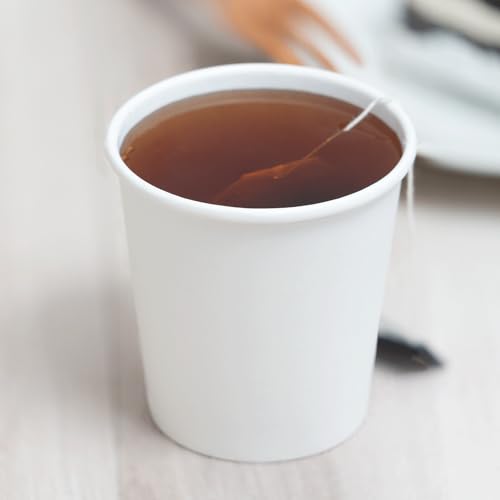 10 oz Paper Cups (1000 Count)