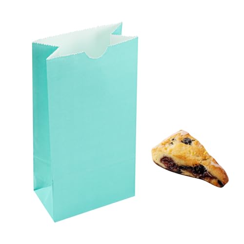 Turquoise Paper Bag (100 Count)
