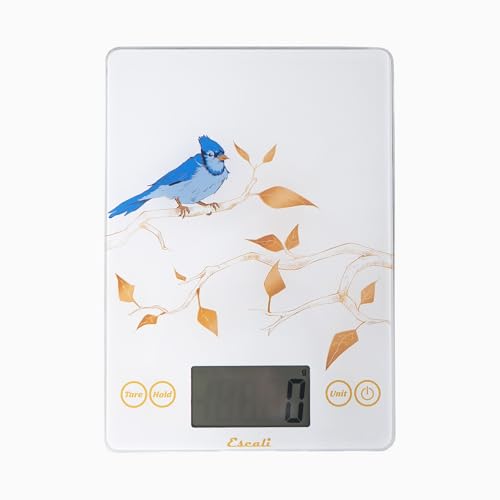 Arti Blue Jay Glass Food Scale Digital Countertop Kitchen