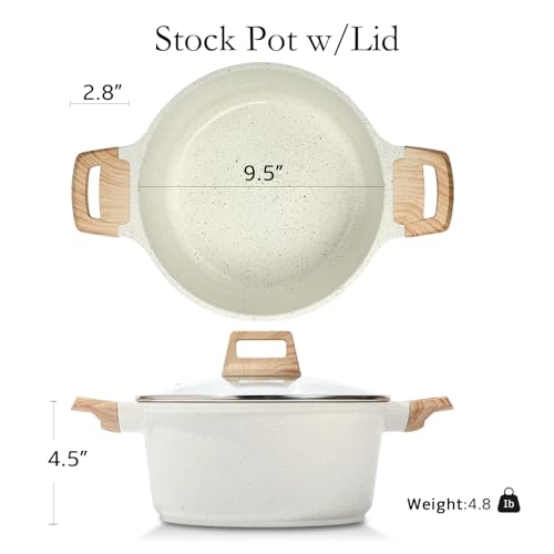 Nonstick Stock Pot with Lid