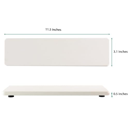 2Pcs Sink Stone Soap Trays Water Absorbing Diatomite Coasters (2 Count)