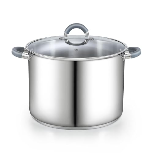 Basics 16 Quart Stainless Steel Stock Pot with Lid