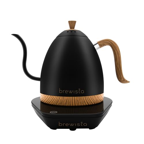 Artisan Electric Gooseneck Kettle