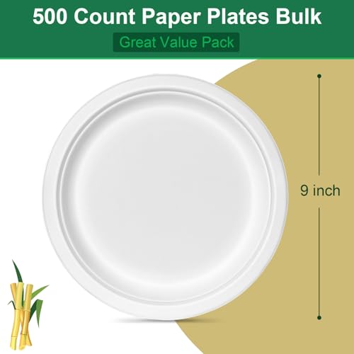 9 inch Disposable Paper Plates 500 Pack (500 Count)