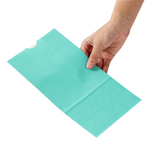 Turquoise Paper Bag (100 Count)