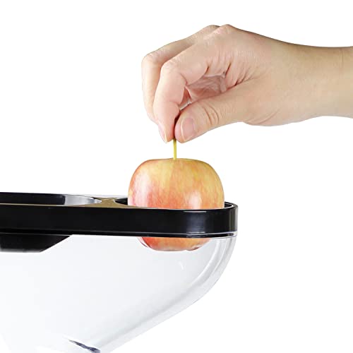 Cold Press Juicer Machine