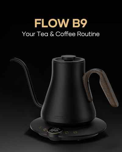 Gooseneck Electric Kettle