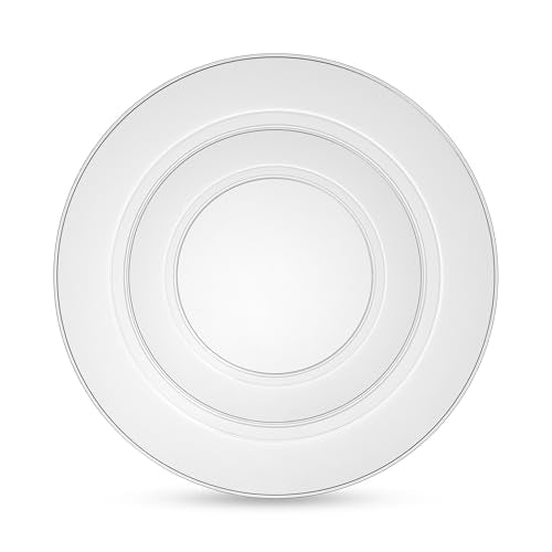 100 Elegant Clear Plastic Plates Set (100 Count)