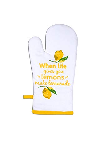 Oven Mitts Set of 1 Quilted Liner with Hanging Loop Non Slip (2 Count)