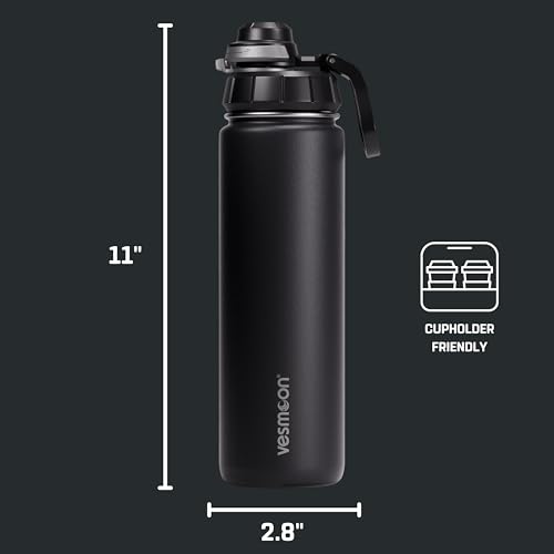 Vessence 24 Oz Stainless Steel Tea Infuser Bottle for Loose Leaf Tea