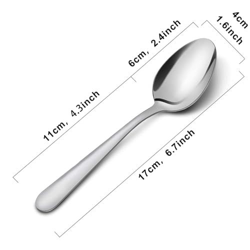 24 Piece Dinner Spoons Set (24 Count)