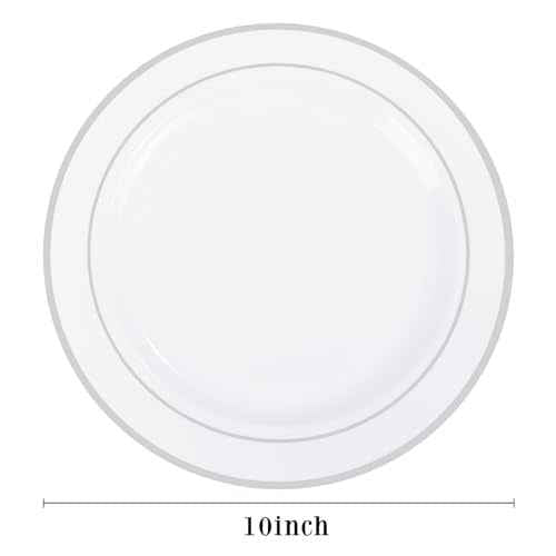 100PCS Silver Plastic Plates (100 Count)