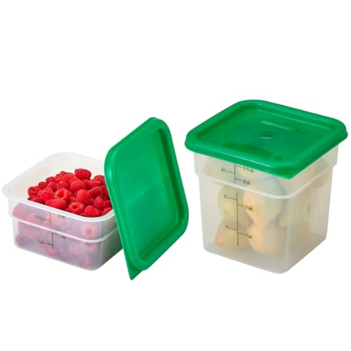 Food Storage Container with Lid (2 Count)