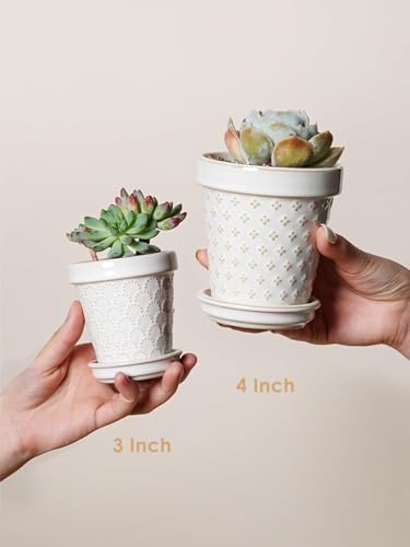 Ceramic Succulent Pots (4 Count)