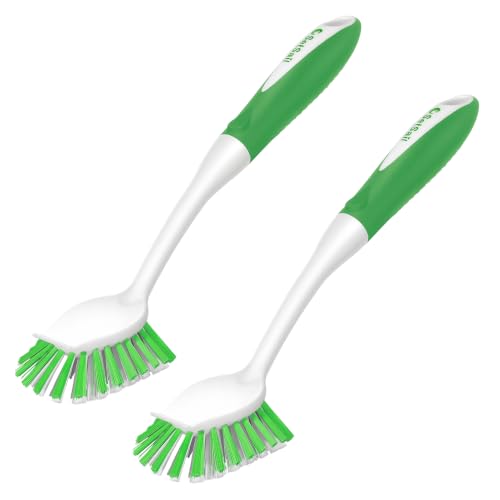Dish Brush with Handle (2 Count)