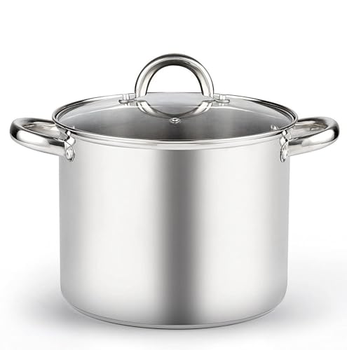 Basics 8 Quart Stainless Steel Stock Pot with Lid