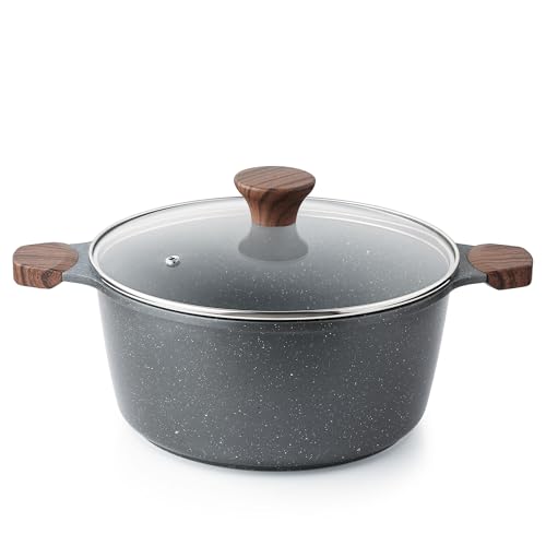 Nonstick Stock Pot with Lid
