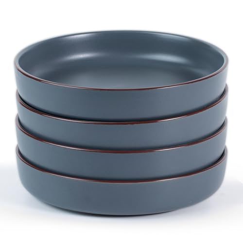 Mercury Pasta Bowls Set of 4 (4 Count)