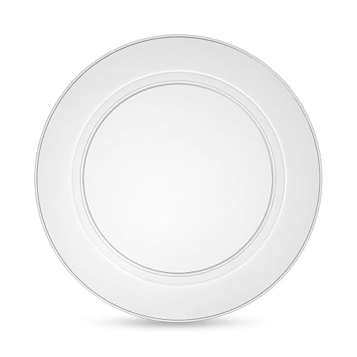 100 Elegant Clear Plastic Plates Set (100 Count)
