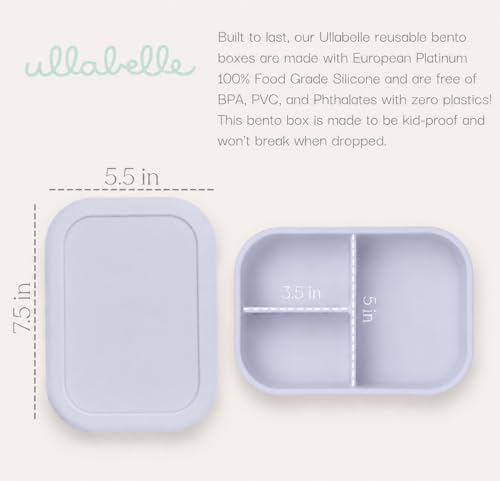 Kids Bento Box