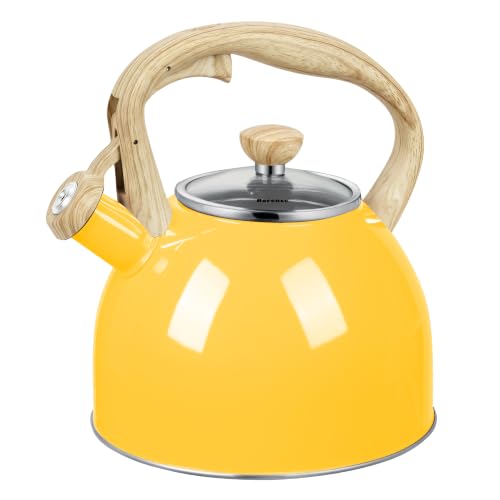 Whistling Tea Kettle for Stove Top