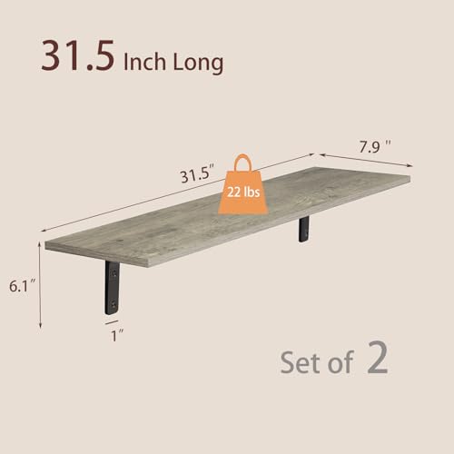 Long Wall Shelves (2 Count)