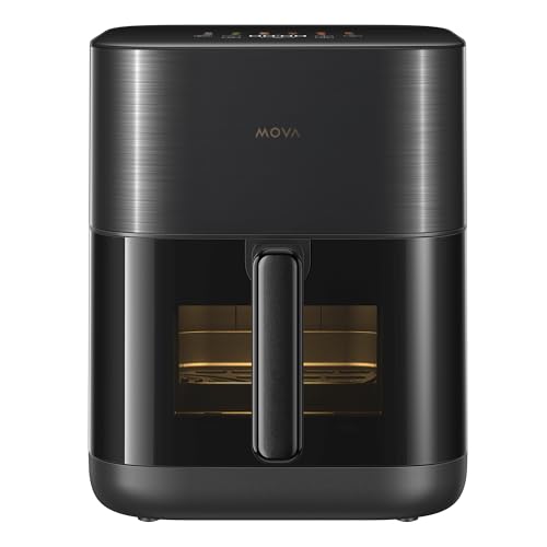 FD10Pro Air Fryer