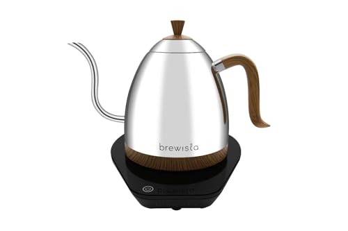 Artisan Electric Gooseneck Kettle