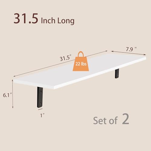 Long Wall Shelves (2 Count)