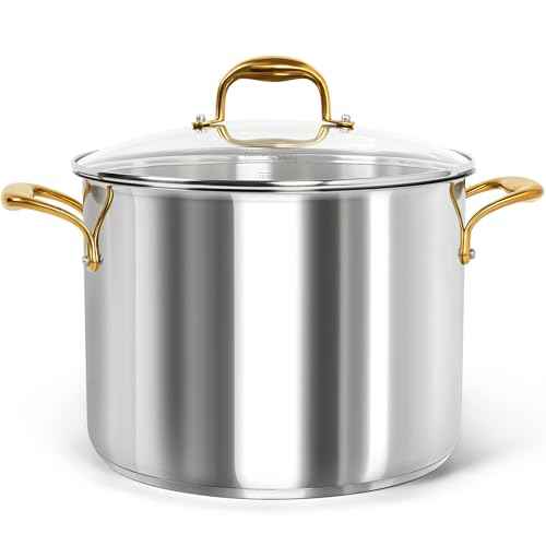 Stainless Steel Stock Pot with Lid